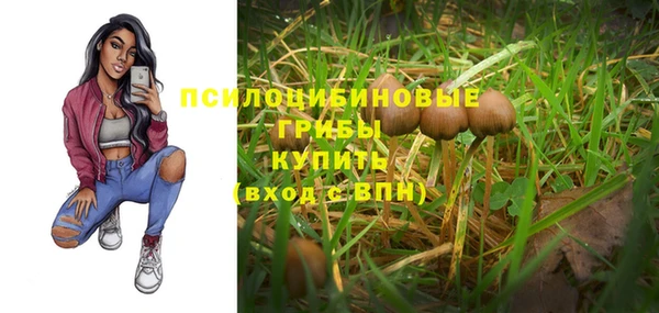 mdpv Нягань