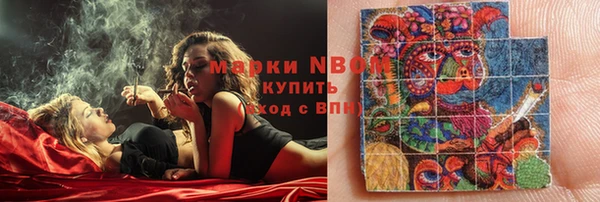 стаф Няндома