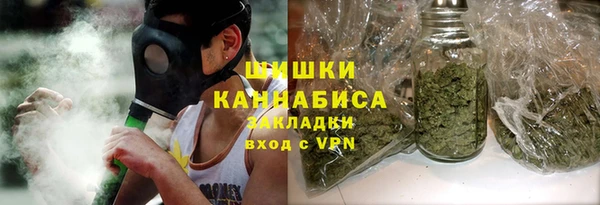 стаф Няндома