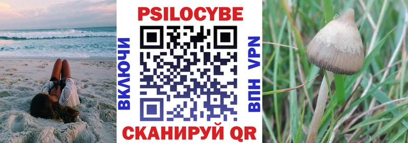 хочу наркоту  MEGA сайт  Псилоцибиновые грибы прущие грибы  Южноуральск 
